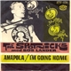 The Spotnicks - Amapola / I'm Going Home